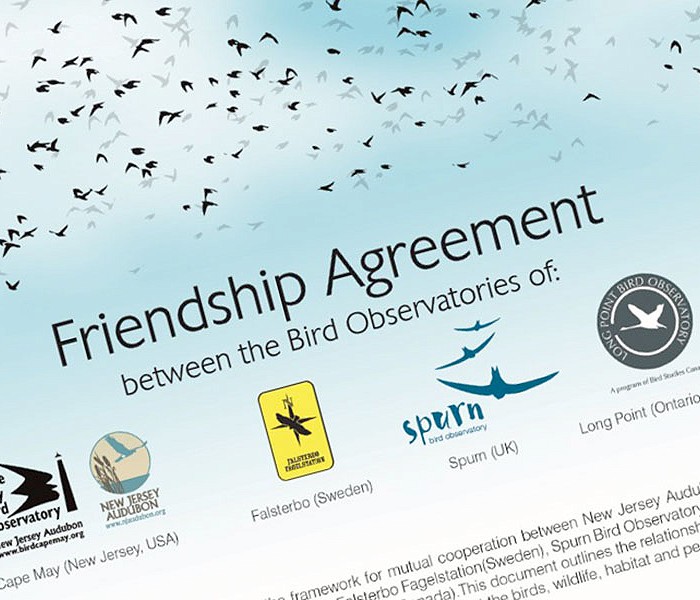 Our friendship agreement