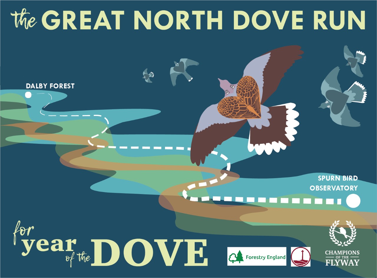 The Great North Dove Run