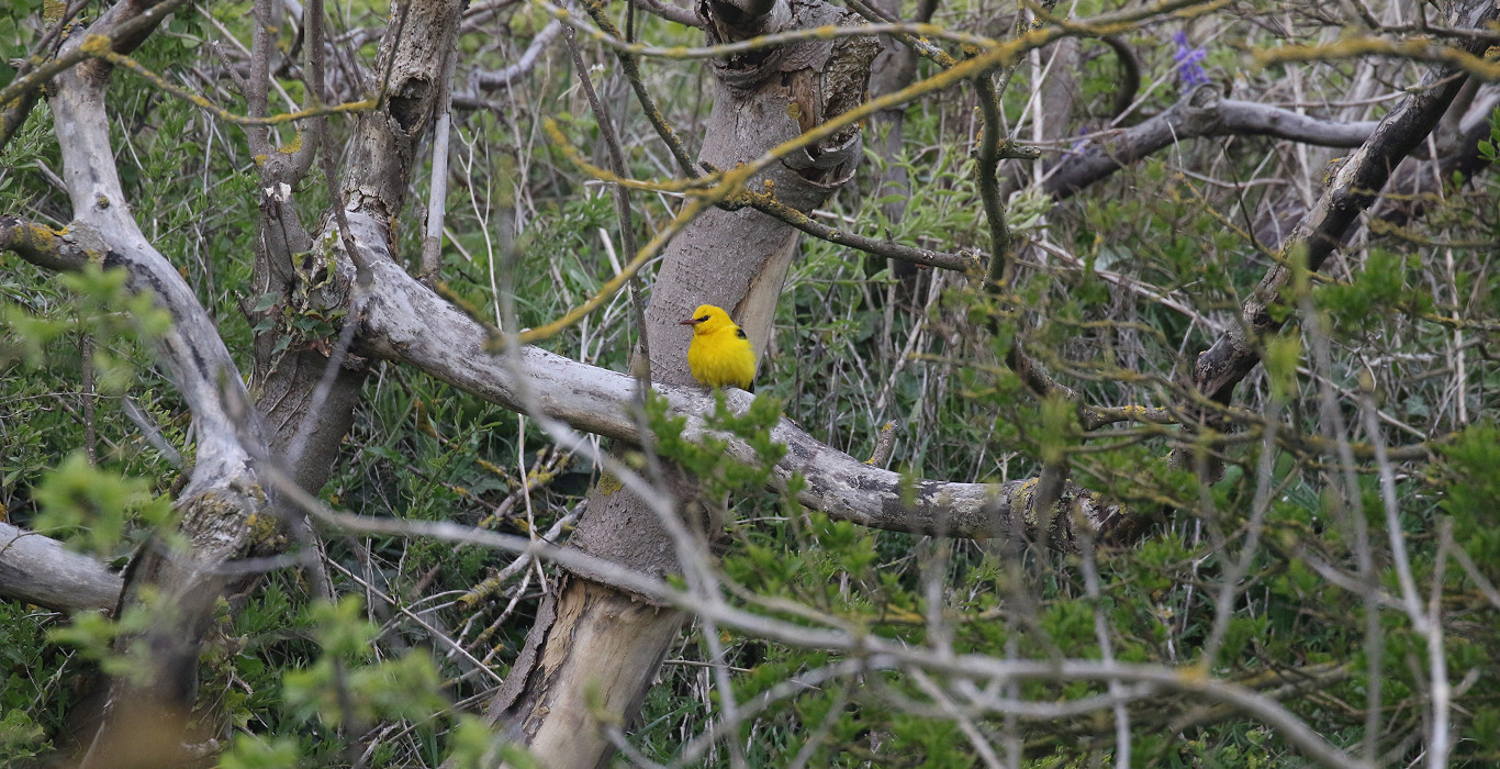 Turning the Friendship Agreement into a reality