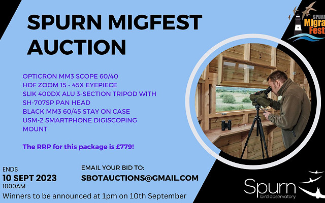 MigFest Auction