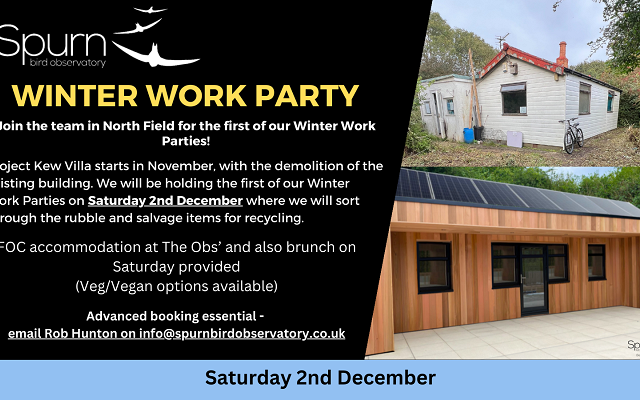 First Winter Work Party