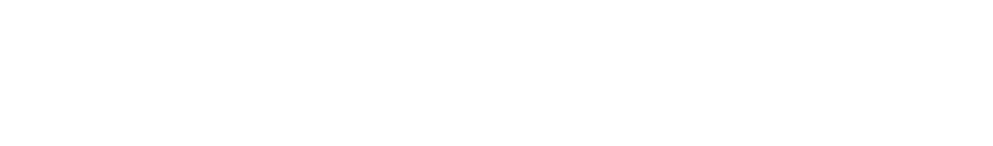 Page header graphic